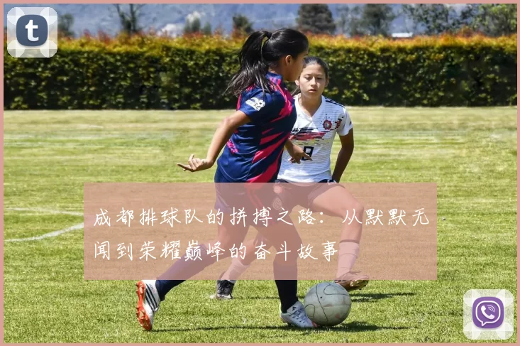 成都排球队的拼搏之路：从默默无闻到荣耀巅峰的奋斗故事