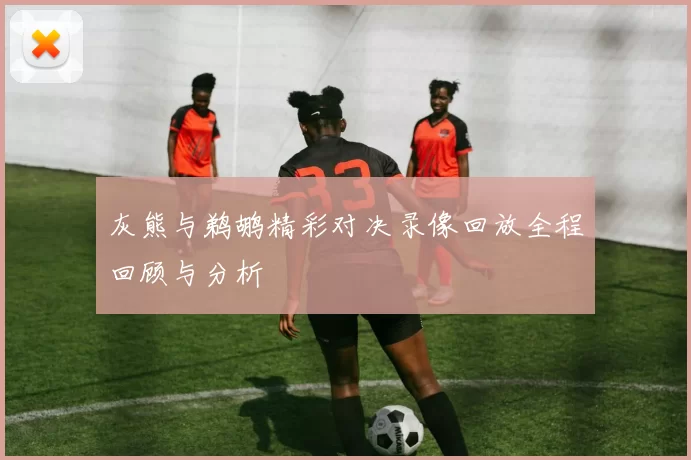 灰熊与鹈鹕精彩对决录像回放全程回顾与分析