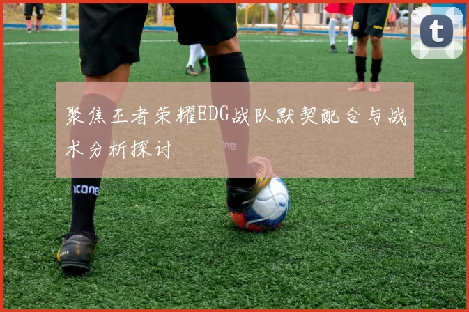 聚焦王者荣耀EDG战队默契配合与战术分析探讨