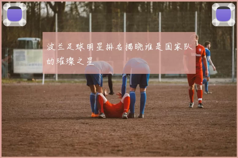 波兰足球明星排名揭晓谁是国家队的璀璨之星